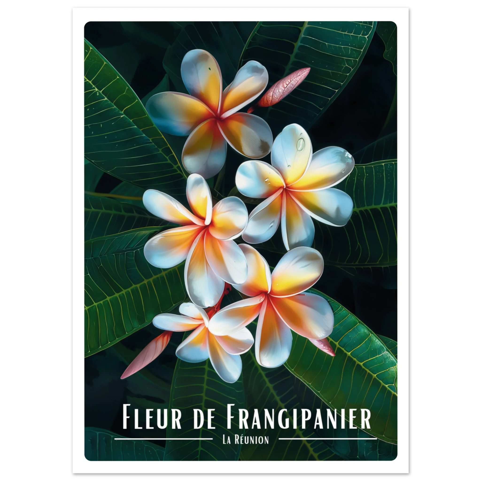 0371d6ac-1c8d-4dd5-8f79-b438f3b7c3dd