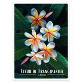 0371d6ac-1c8d-4dd5-8f79-b438f3b7c3dd