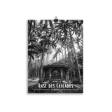 Affiche Anse des Cascades Noir & Blanc 61 × 91 cm Sans Cadre - Univile