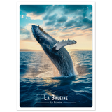 Affiche Carte Postale baleine   - Univ'île