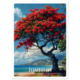 Carte Postale Flamboyant - Univile