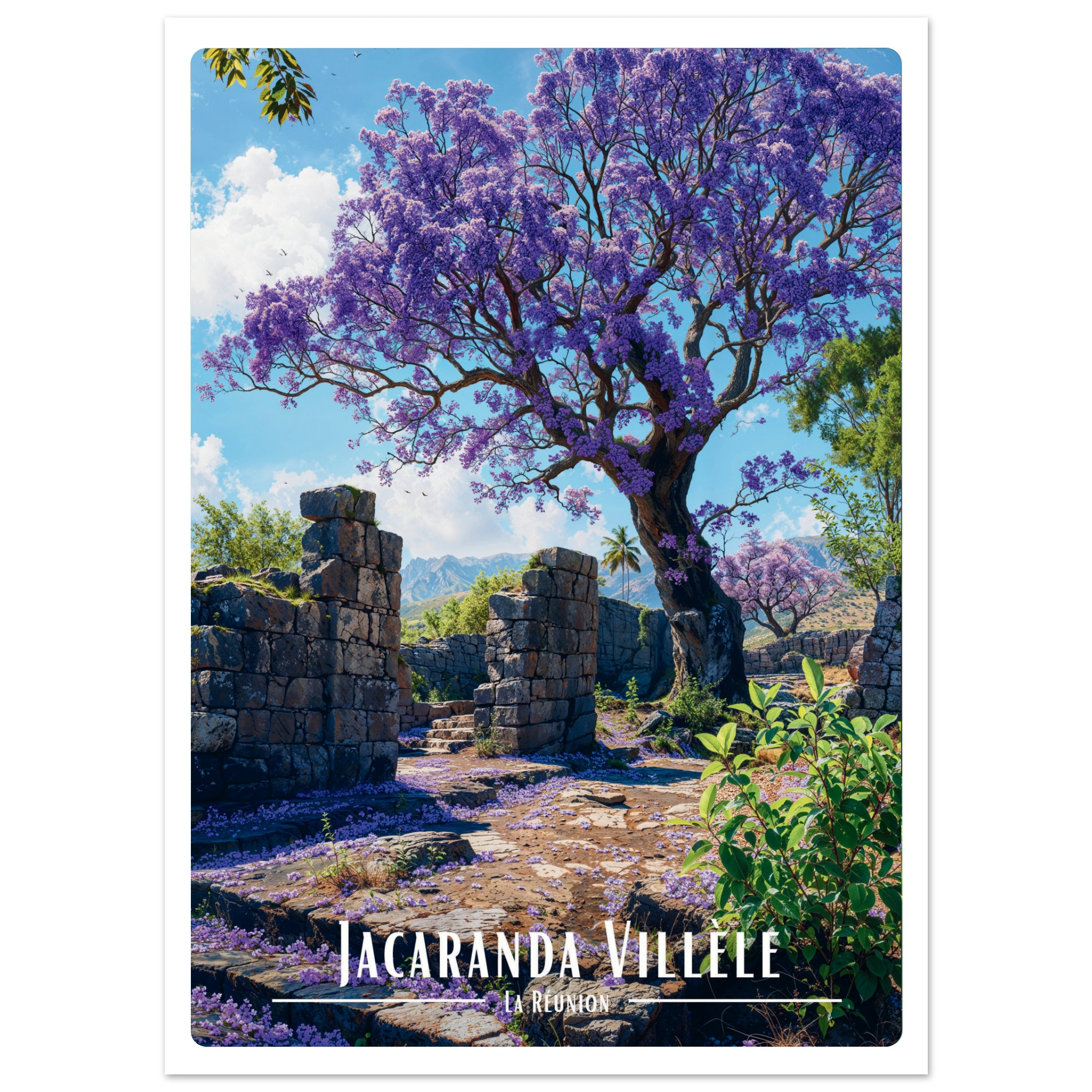 Affiche Carte Postale Jacaranda   - Univ'île