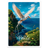 Carte Postale Paille en Queue - Univile