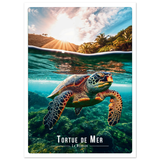 Affiche Carte Postale Tortue de mer   - Univ'île