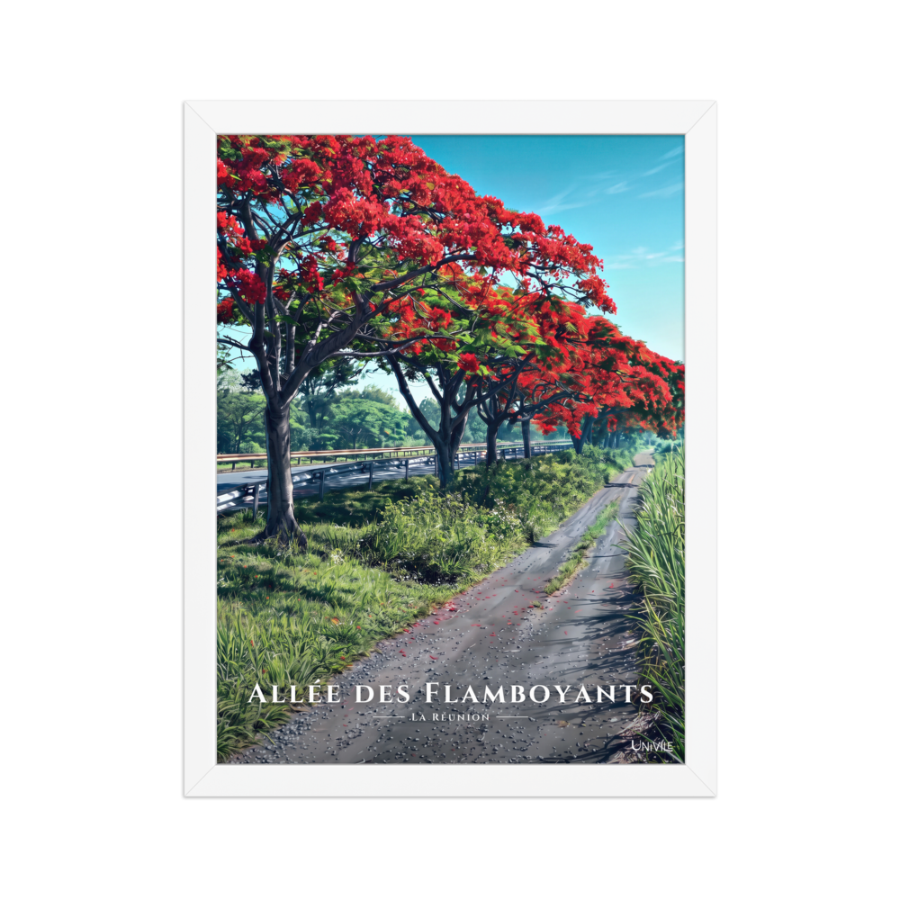 Affiche de La Réunion Allée des Flamboyants 30 × 40 cm / Blanc - Univile La Réunion