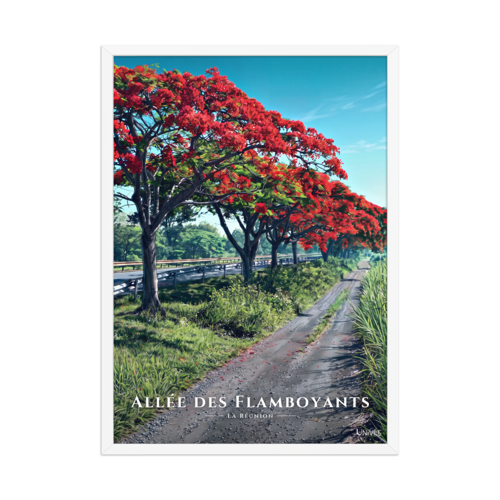 Affiche de La Réunion Allée des Flamboyants 50 × 70 cm / Blanc - Univile La Réunion