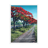 Affiche de La Réunion Allée des Flamboyants 50 × 70 cm / Blanc - Univile La Réunion