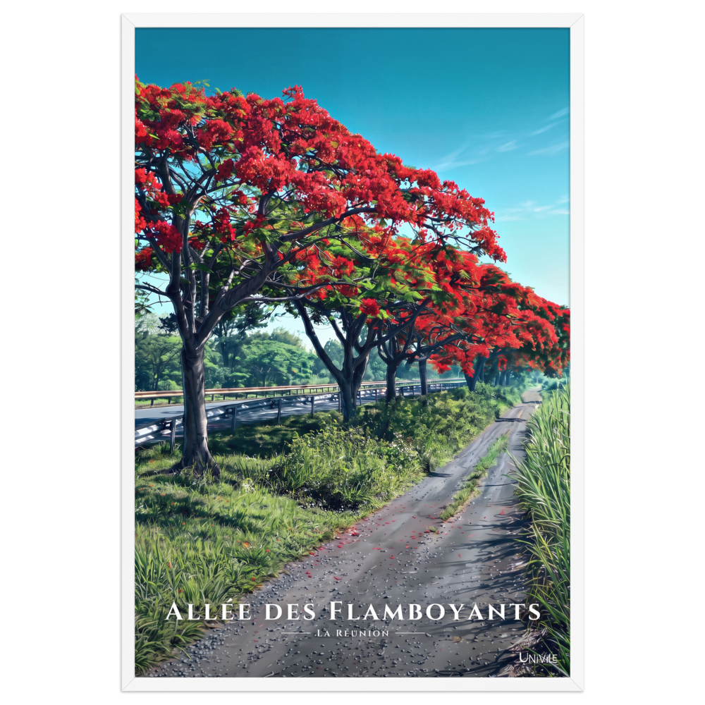 Affiche de La Réunion Allée des Flamboyants 61 × 91 cm / Blanc - Univile La Réunion