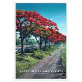 Affiche de La Réunion Allée des Flamboyants 61 × 91 cm / Blanc - Univile La Réunion