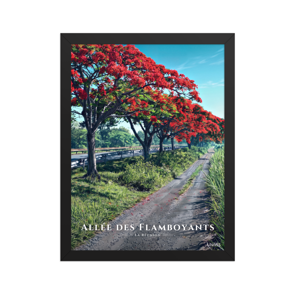 Affiche de La Réunion Allée des Flamboyants 30 × 40 cm / Noir - Univile La Réunion