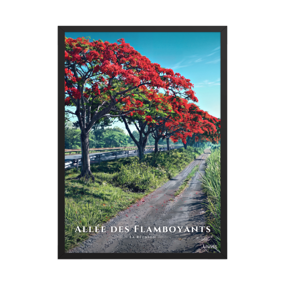 Affiche de La Réunion Allée des Flamboyants 50 × 70 cm / Noir - Univile La Réunion