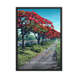 Affiche de La Réunion Allée des Flamboyants 50 × 70 cm / Noir - Univile La Réunion
