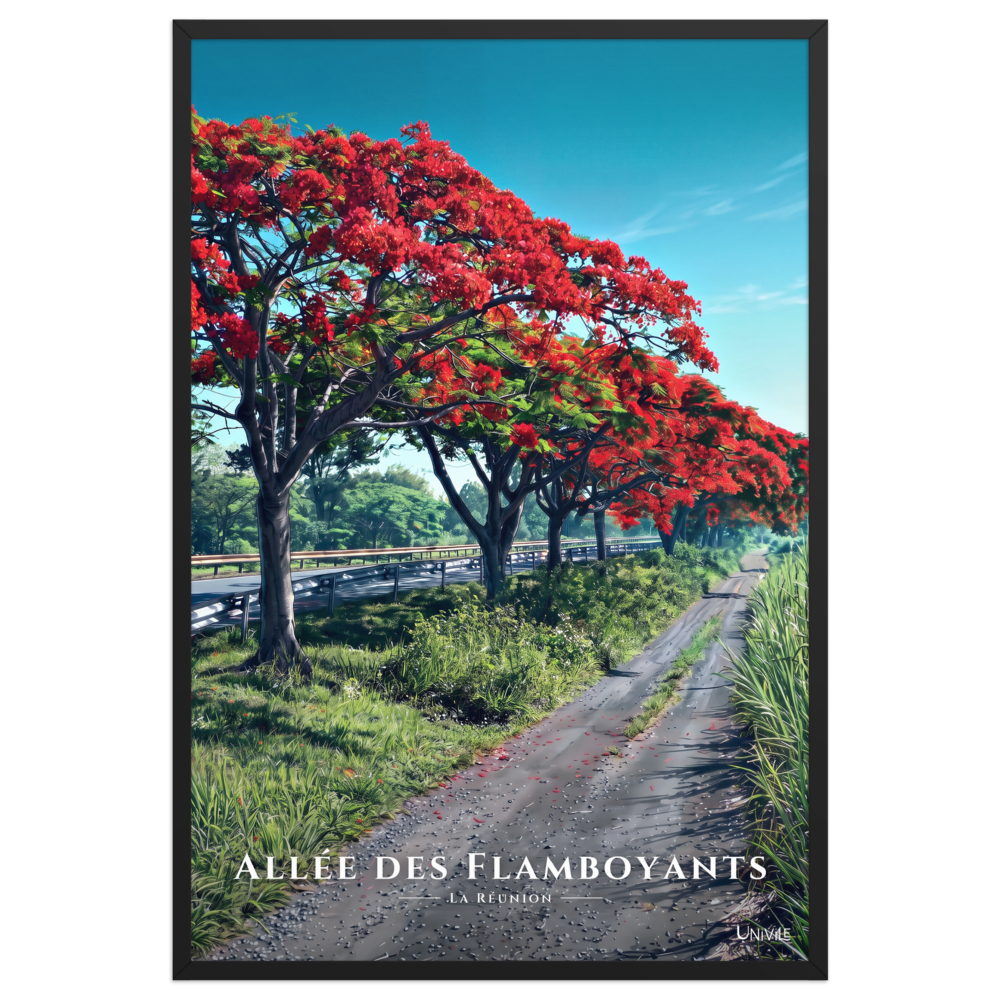Affiche de La Réunion Allée des Flamboyants 61 × 91 cm / Noir - Univile La Réunion