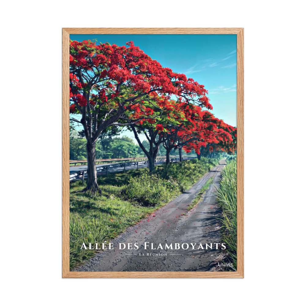 Affiche de La Réunion Allée des Flamboyants 50 × 70 cm / Oak - Univile La Réunion