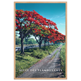 Affiche de La Réunion Allée des Flamboyants 61 × 91 cm / Oak - Univile La Réunion