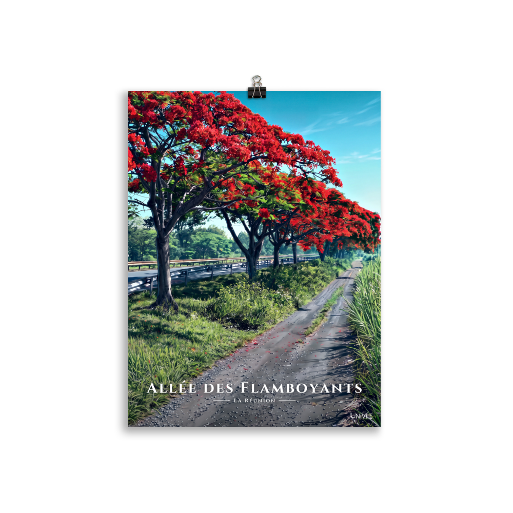 Affiche de La Réunion Allée des Flamboyants 30 × 40 cm / Sans cadre - Univile La Réunion
