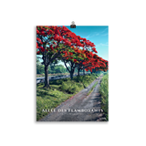 Affiche de La Réunion Allée des Flamboyants 30 × 40 cm / Sans cadre - Univile La Réunion