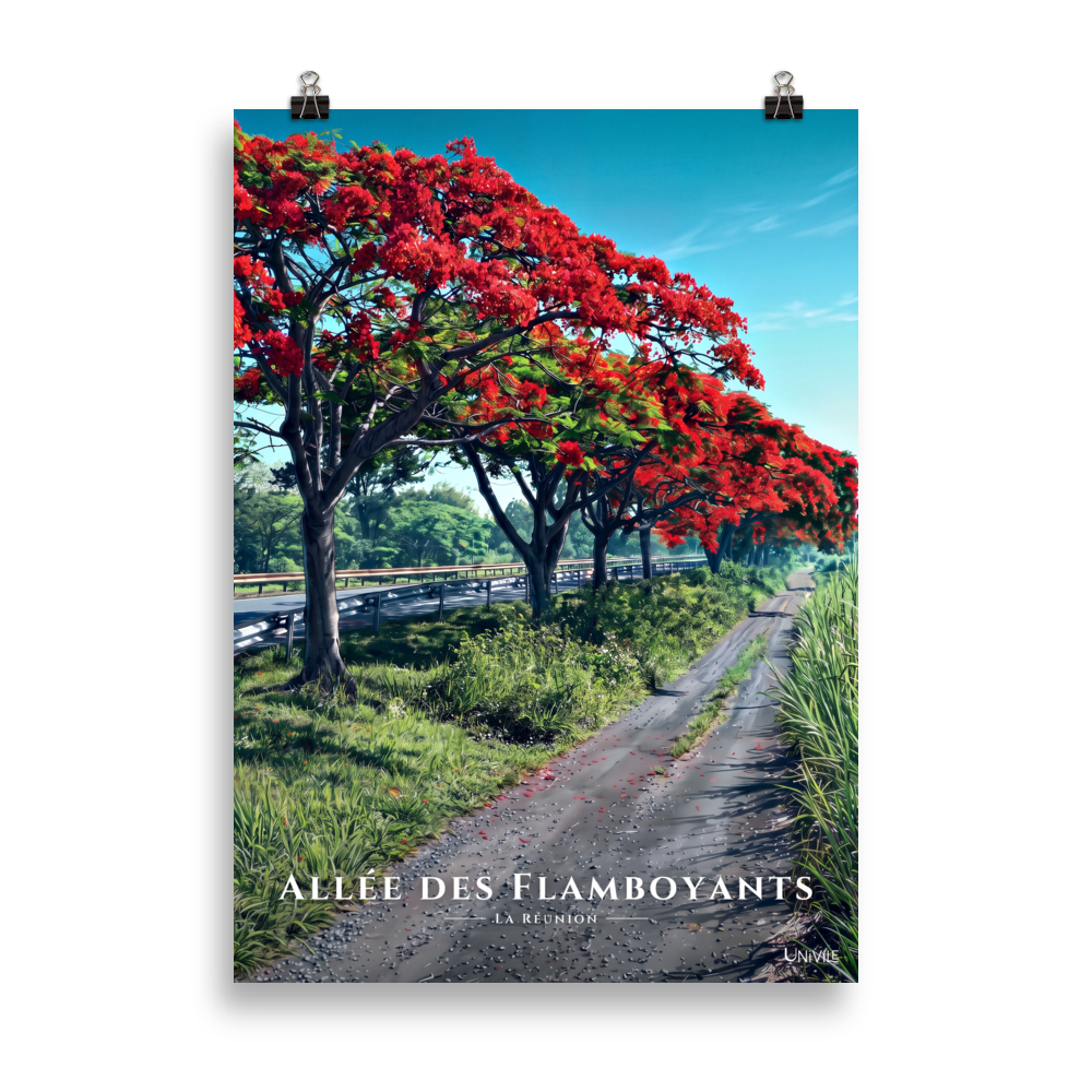 Affiche de La Réunion Allée des Flamboyants 50 × 70 cm / Sans cadre - Univile La Réunion