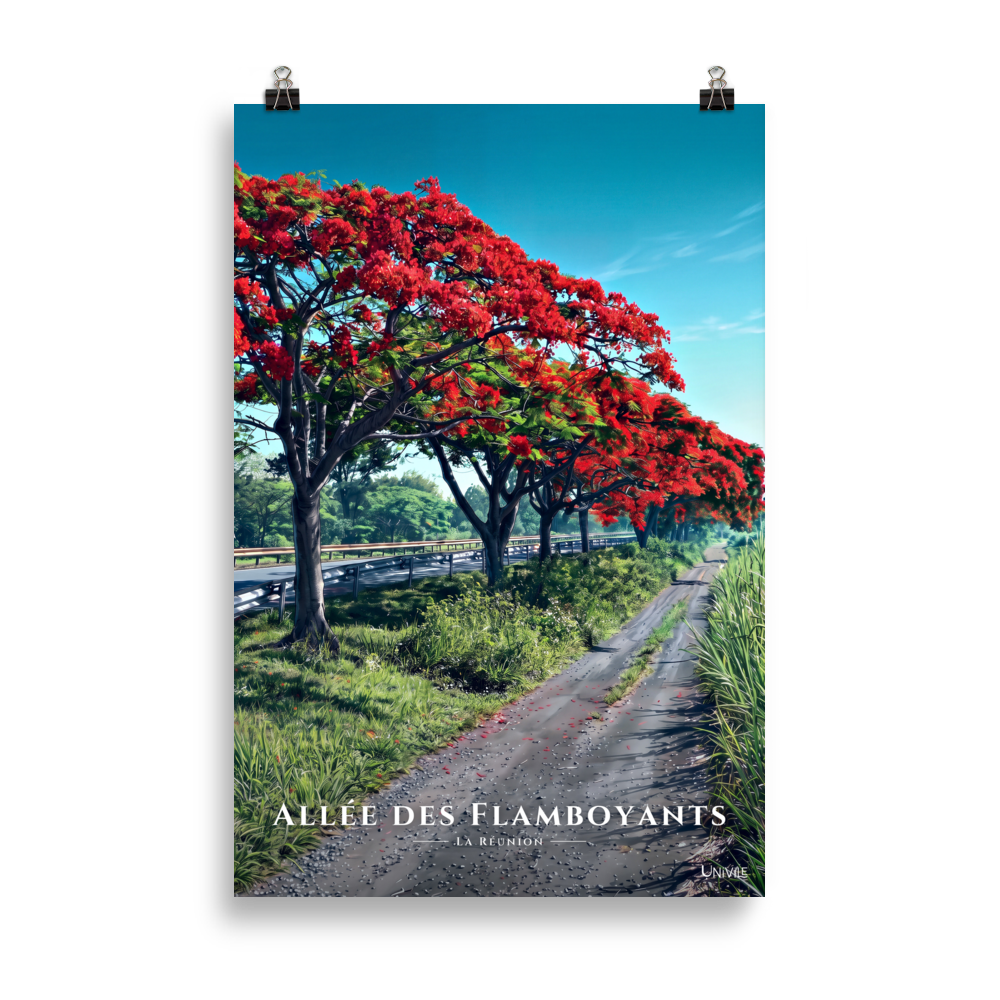 Affiche de La Réunion Allée des Flamboyants 61 × 91 cm / Sans cadre - Univile La Réunion