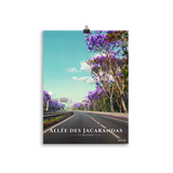 Affiche de La Réunion Allée des Jacarandas 30 × 40 cm / Sans cadre - Univile La Réunion