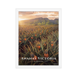 Poster Ananas Victoria Blanc 30 × 40 cm