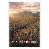 Poster Ananas Victoria Blanc 61 × 91 cm