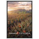 Poster Ananas Victoria Noir 61 × 91 cm
