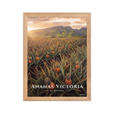 Poster Ananas Victoria Oak 30 × 40 cm