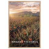 Poster Ananas Victoria Oak 61 × 91 cm