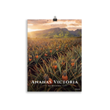 Poster Ananas Victoria Sans cadre 30 × 40 cm