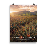 Poster Ananas Victoria Sans cadre 50 × 70 cm