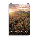 Poster Ananas Victoria Sans cadre 61 × 91 cm