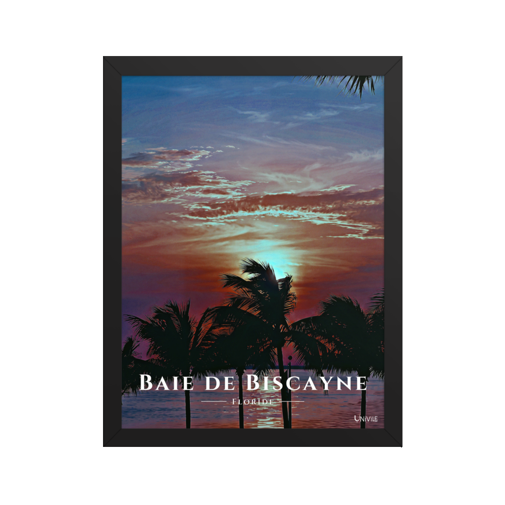 Affiche de Floride Baie de Biscayne 30 × 40 cm / Noir - Univile Floride