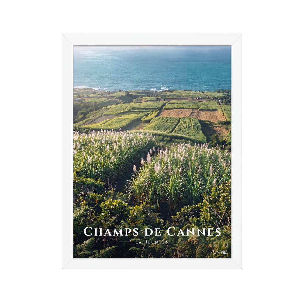Poster Champs de Cannes Blanc 30 × 40 cm