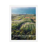 Poster Champs de Cannes Blanc 30 × 40 cm