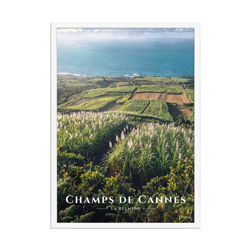 Poster Champs de Cannes Blanc 50 × 70 cm