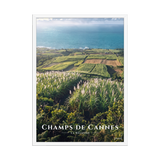 Poster Champs de Cannes Blanc 50 × 70 cm