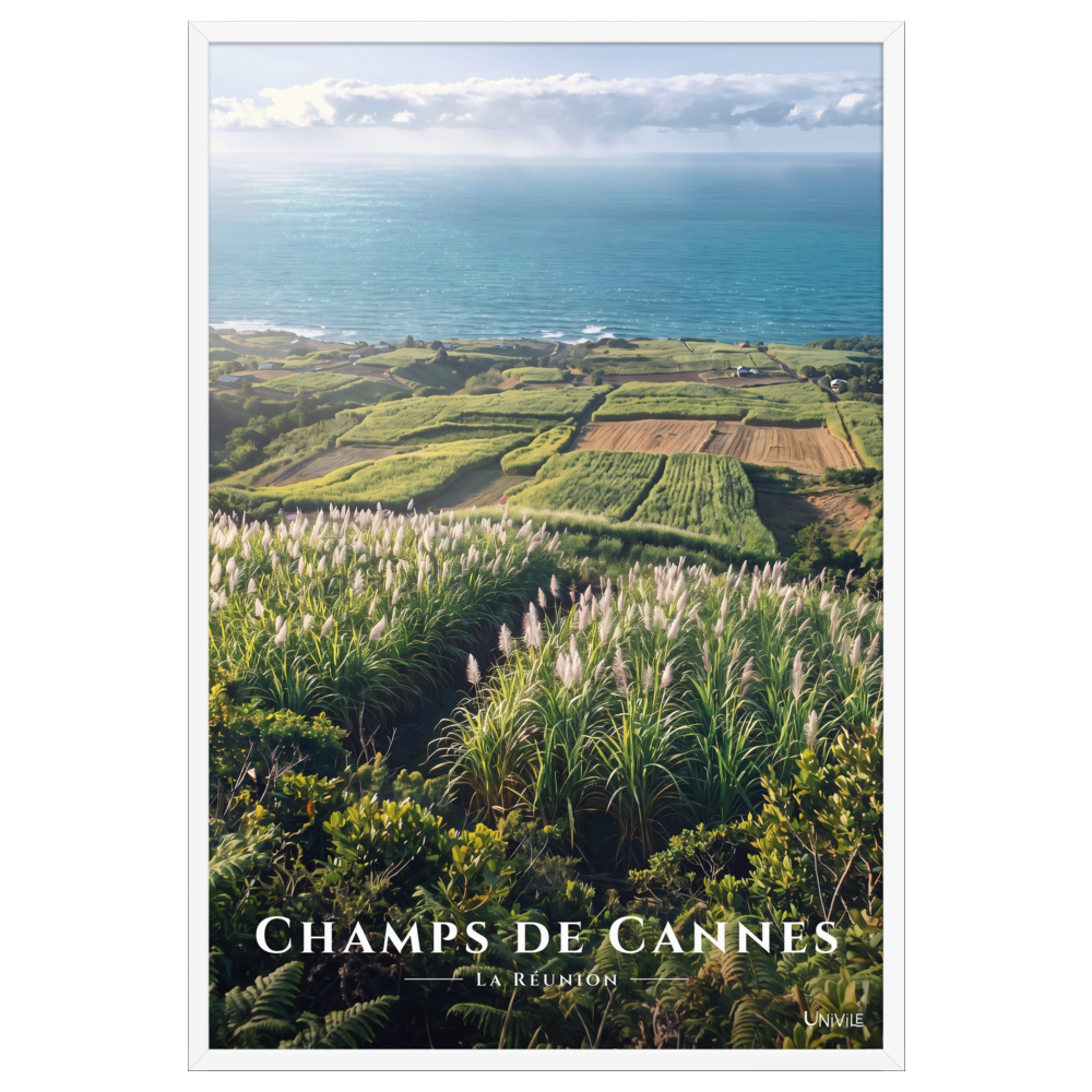 Poster Champs de Cannes Blanc 61 × 91 cm