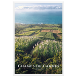 Poster Champs de Cannes Blanc 61 × 91 cm