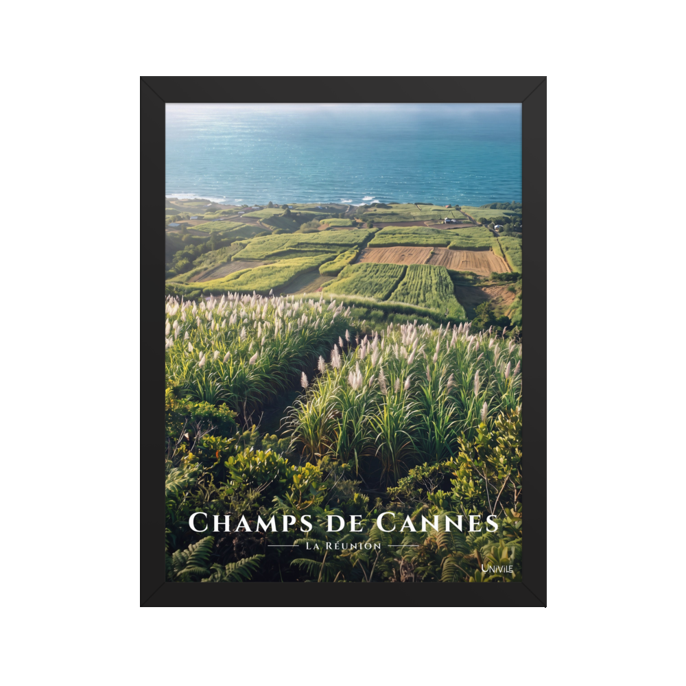 Poster Champs de Cannes Noir 30 × 40 cm