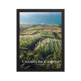 Poster Champs de Cannes Noir 30 × 40 cm