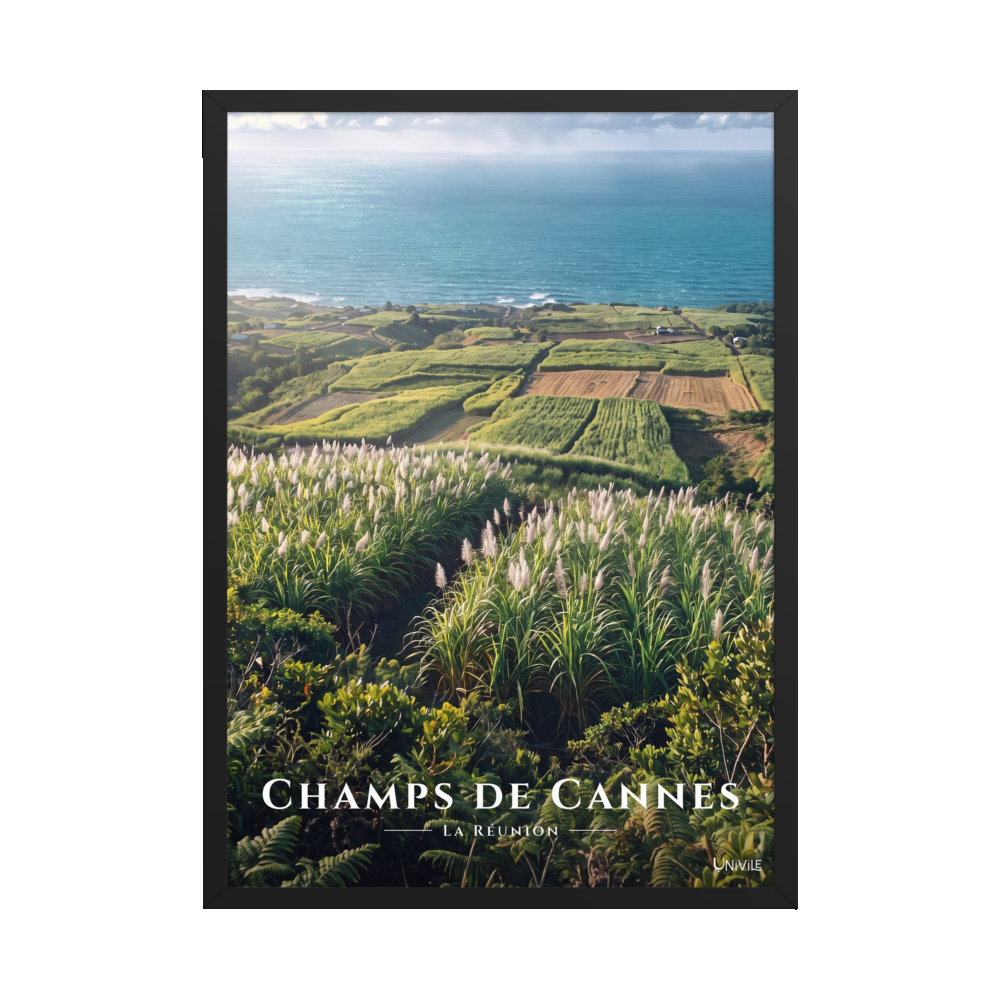 Poster Champs de Cannes Noir 50 × 70 cm