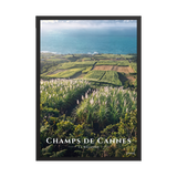 Poster Champs de Cannes Noir 50 × 70 cm