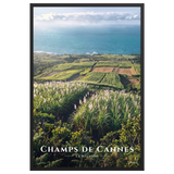 Poster Champs de Cannes Noir 61 × 91 cm