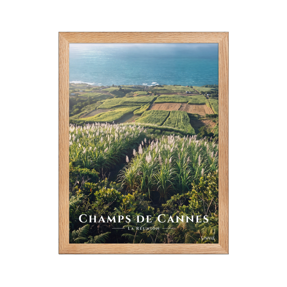 Poster Champs de Cannes Oak 30 × 40 cm