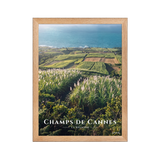 Poster Champs de Cannes Oak 30 × 40 cm