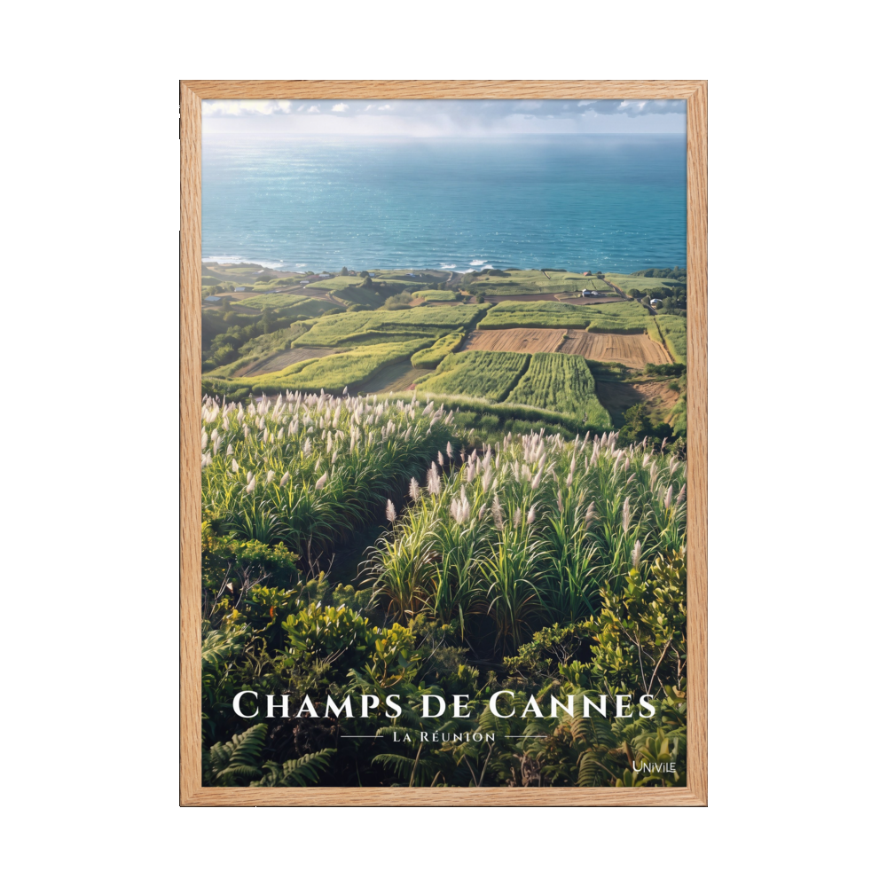 Poster Champs de Cannes Oak 50 × 70 cm