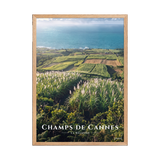 Poster Champs de Cannes Oak 50 × 70 cm