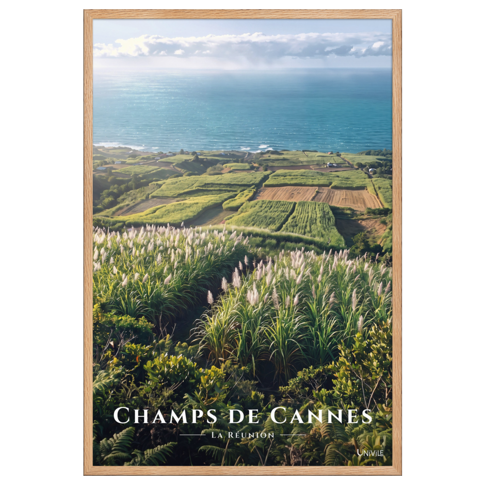 Poster Champs de Cannes Oak 61 × 91 cm