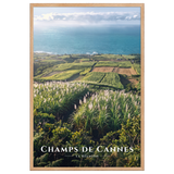 Affiche de La Réunion Champs de Cannes 61 × 91 cm / Oak - Univile La Réunion